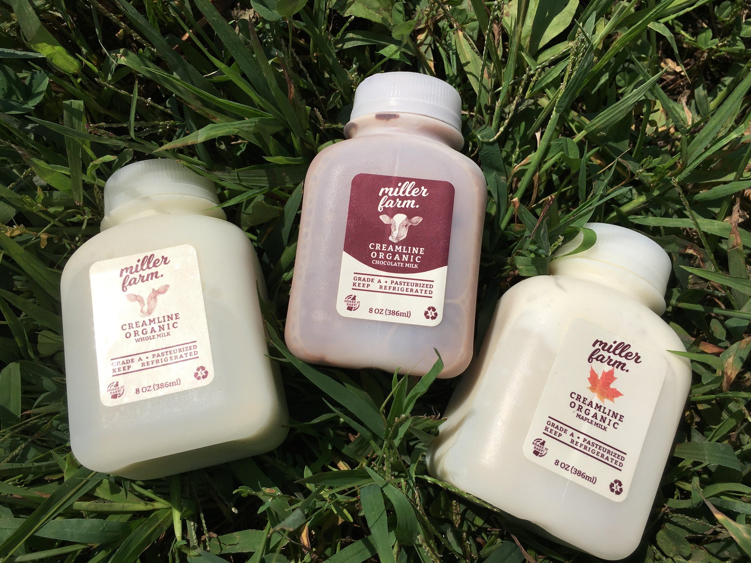 martin dairy GRADE A PASTEURIZED